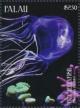 Colnect-4971-706-Box-Jellyfish.jpg