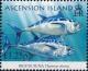 Colnect-6490-584-Bigeyed-tunas.jpg