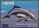 Colnect-7374-170-Atlantic-Hump-backed-Dophin-Sousa-teuszii.jpg