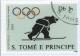 Colnect-953-501-Bear-on-skis.jpg