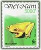 Colnect-1636-735-Golden-Bell-Frog-Hyla-aurea.jpg