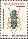 Colnect-1115-757-Longhorn-Beetle-Chariesthes-bella-rufoplagiata.jpg