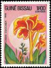 Colnect-1167-346-Canna-coccinea.jpg