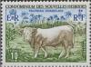 Colnect-1320-836-Charolais-Bull.jpg