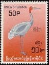 Colnect-1503-852-Sarus-Crane-Grus-antigone.jpg