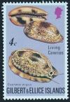 Colnect-1526-788-Eyed-Cowry-Cypraea-argus.jpg