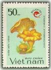 Colnect-1654-025-Cantharellus-cibarius---Logo-of-Tourism.jpg