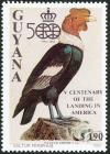 Colnect-1663-456-Andean-Condor-Vultur-gryphus.jpg