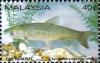 Colnect-1792-787-Grass-Carp-Ctenopharyngodon-idellus.jpg