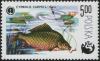 Colnect-1997-670-Common-Carp-Cyprinus-carpio.jpg