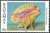 Colnect-2272-626-Queen-Conch-Lobatus-gigas.jpg