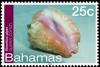 Colnect-2355-503-Queen-Conch-Lobatus-gigas.jpg