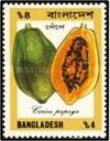 Colnect-2878-347-Carica-papaya.jpg