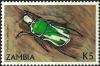 Colnect-2883-767-Regal-Fruit-Chafer-Ranzania-petersiana.jpg