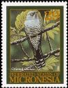 Colnect-3139-793-Oriental-Cuckoo-Cuculus-optatus.jpg