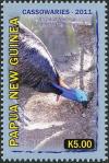 Colnect-3438-467-Southern-Cassowary-Casuarius-casuarius-adult-feeding.jpg