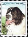 Colnect-3515-676-Landseer-Canis-lupus-familiaris.jpg