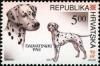 Colnect-354-328-Dalmatian-Canis-lupus-familiaris.jpg