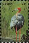 Colnect-3811-693-Sarus-Crane-Grus-antigone.jpg