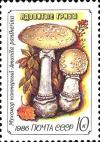 Colnect-3989-037-Panther-cap-Amanita-pantherina.jpg