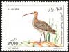 Colnect-4372-494-Eurasian-Curlew-Numenius-arquata.jpg