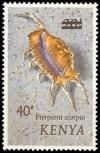 Colnect-4500-954-Scorpion-Conch-Pterocera-scorpio.jpg