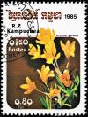 Colnect-4814-714-Crocus-aureus.jpg