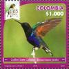 Colnect-5965-081-Velvet-purple-Coronet-Boissonneaua-jardini.jpg