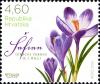 Colnect-6335-344-Spring-Crocus-Crocus-vernus.jpg