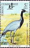 Colnect-735-962-Demoiselle-Crane-Anthropoides-virgo.jpg