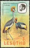 Colnect-745-207-Grey-Crowned-Crane-Balearica-regulorum.jpg