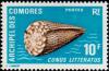 Colnect-787-757-Lettered-Cone-Conus-litteratus.jpg