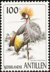 Colnect-960-122-Grey-Crowned-Crane%C2%A0Balearica-regulorum.jpg