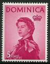 STS-Dominica-5-300dpi.jpeg-crop-347x448at1474-2849.jpg