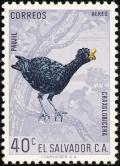 Colnect-1102-150-Great-Curassow-Crax-rubra.jpg