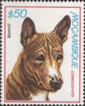 Colnect-1116-048-Basenji-Canis-lupus-familiaris.jpg