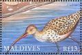 Colnect-1631-378-Eurasian-Curlew-Numenius-arquata.jpg