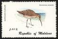 Colnect-1631-838-Eurasian-Curlew-Numenius-arquata.jpg