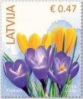 Colnect-1928-516-Spring-Crocus-Crocus-vernus.jpg