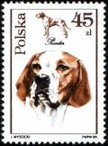 Colnect-1968-058-Pointer-Canis-lupus-familiaris.jpg