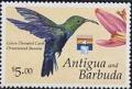 Colnect-1975-828-Green-throated-Carib-Sericotes-holosericeus.jpg