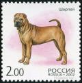 Colnect-2024-492-Shar-pei-Canis-lupus-familiaris.jpg