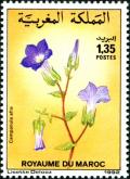 Colnect-2359-128-Campanula-afra.jpg