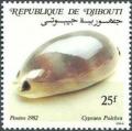 Colnect-2801-765-Lovely-Cowry-Cypraea-puichra.jpg