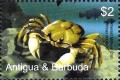 Colnect-3418-707-Emerald-Crab-Mithrax-sculptus.jpg