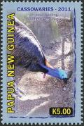 Colnect-3438-467-Southern-Cassowary-Casuarius-casuarius-adult-feeding.jpg