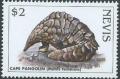 Colnect-3546-579-Cape-pangolin.jpg