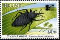 Colnect-4025-605-Coconu-weevil.jpg