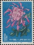 Colnect-485-650-Chrysanthemum.jpg