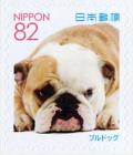 Colnect-5284-658-Bulldog-Canis-lupus-familiaris.jpg